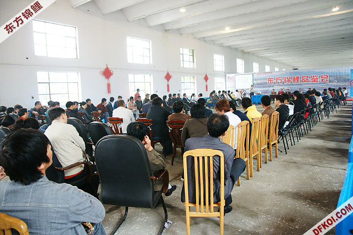 200810 ڶƷᱨ