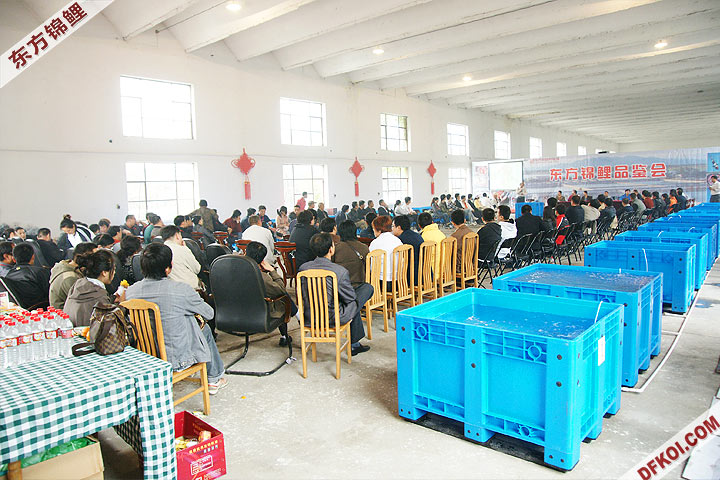 200810 ڶƷᱨ