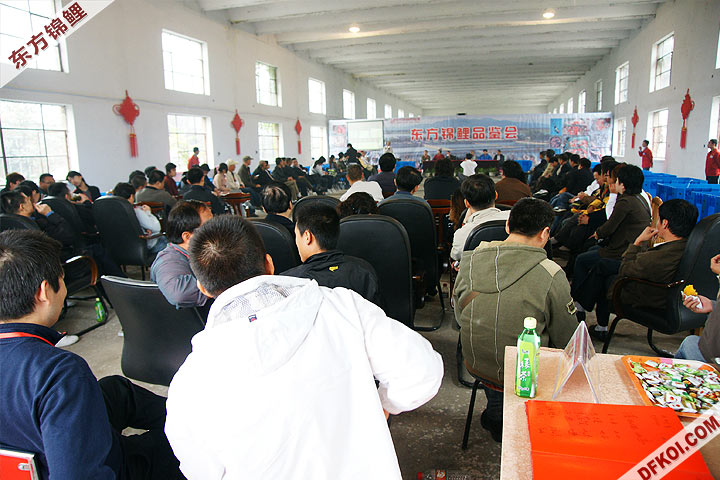 200810 ڶƷᱨ