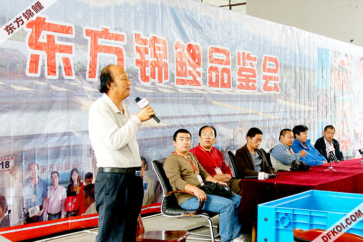 200810 ڶƷᱨ