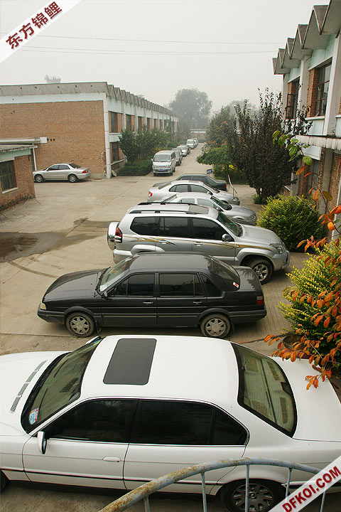 200810 ڶƷᱨ