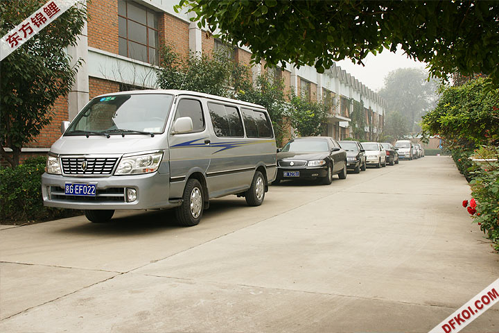 200810 ڶƷᱨ