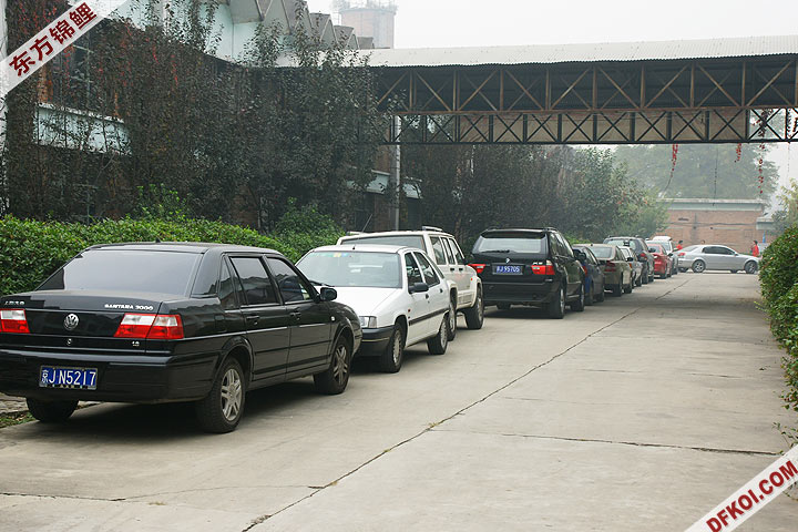 200810 ڶƷᱨ
