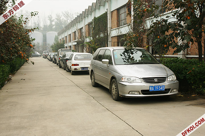 200810 ڶƷᱨ