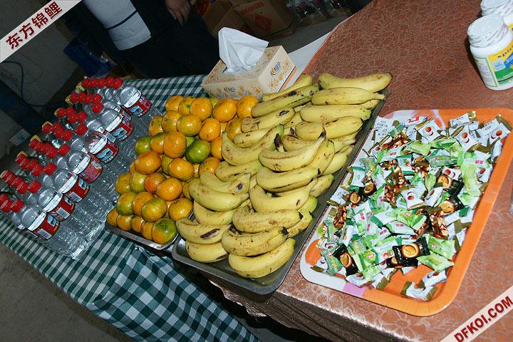200810 ڶƷᱨ