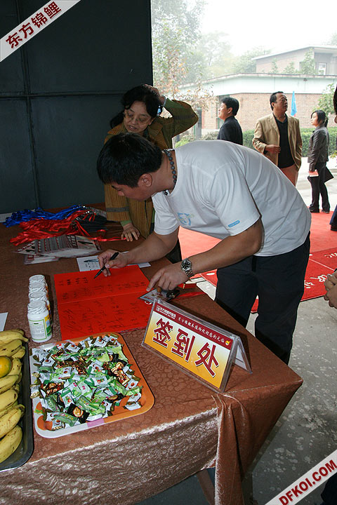 200810 ڶƷᱨ