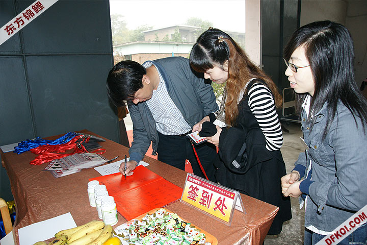 200810 ڶƷᱨ