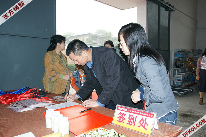 200810 ڶƷᱨ