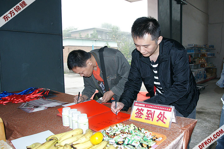 200810 ڶƷᱨ