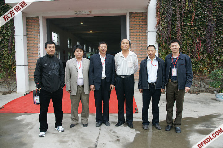 200810 ڶƷᱨ