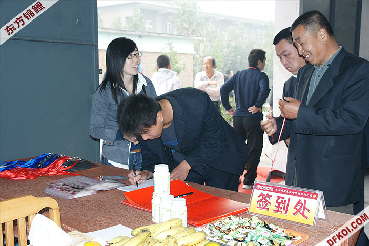 200810 ڶƷᱨ