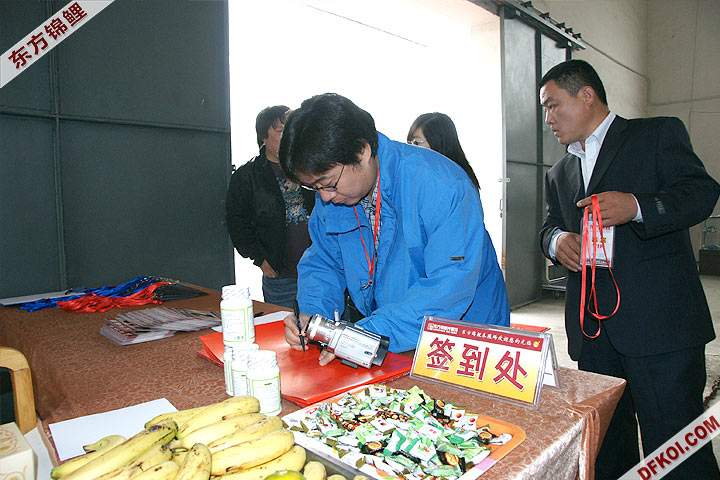 200810 ڶƷᱨ