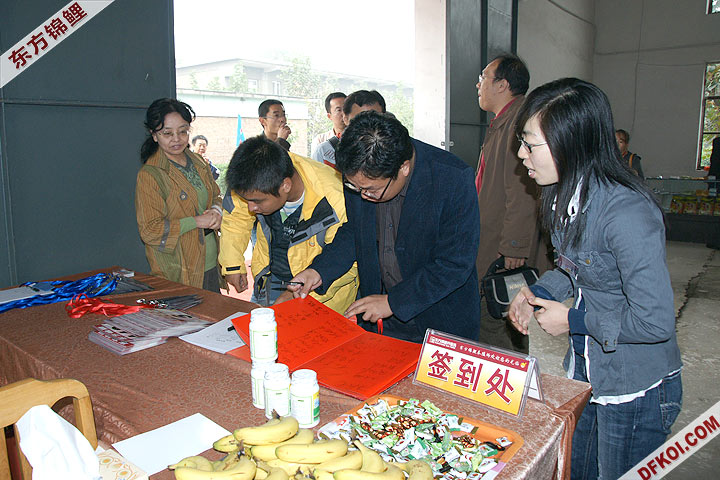200810 ڶƷᱨ