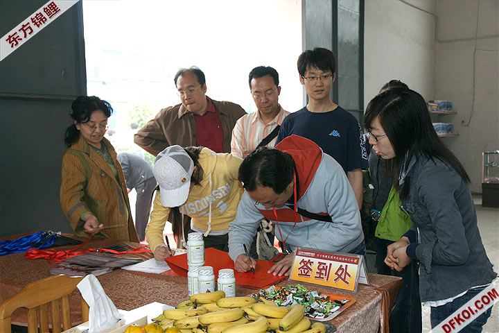 200810 ڶƷᱨ