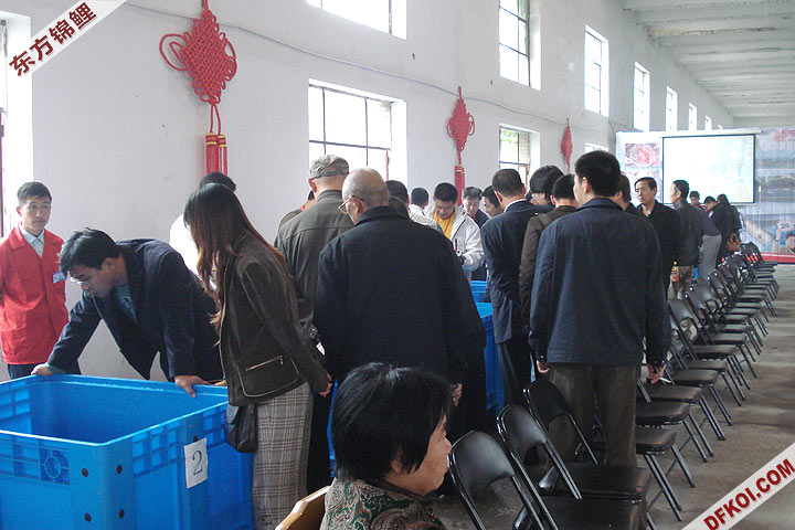200810 ڶƷᱨ