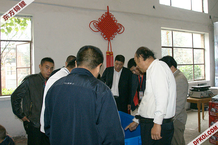 200810 ڶƷᱨ