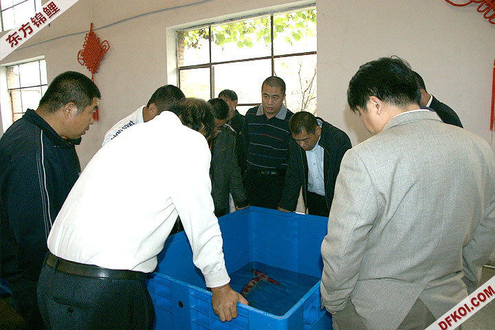 200810 ڶƷᱨ