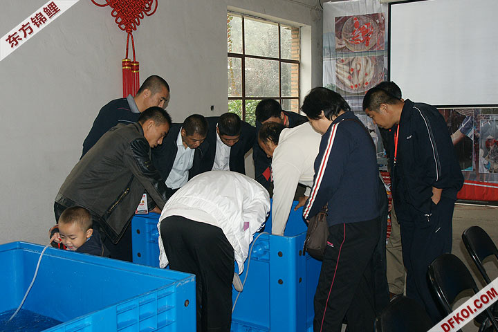 200810 ڶƷᱨ