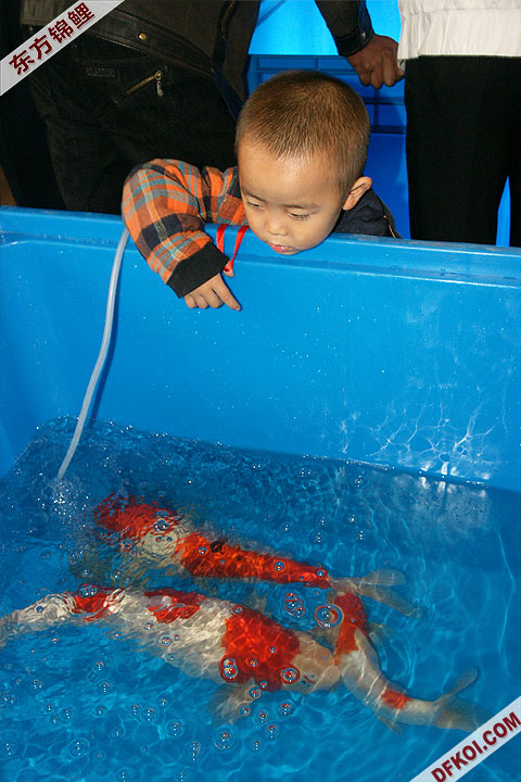 200810 ڶƷᱨ