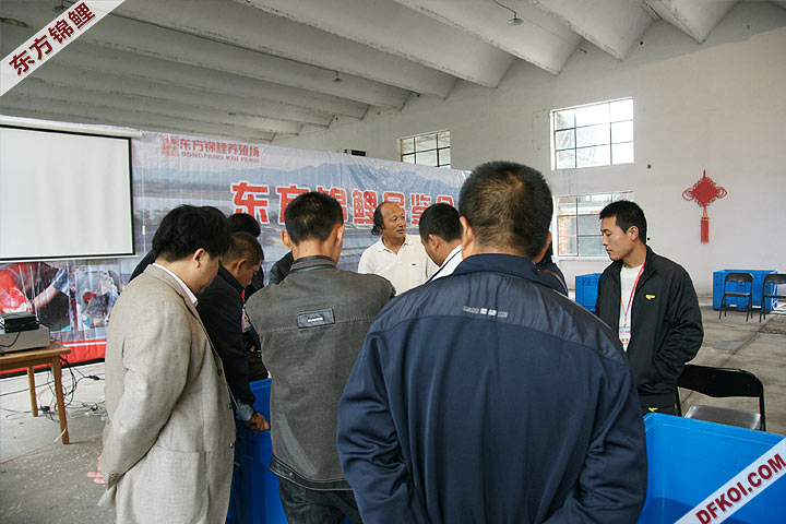 200810 ڶƷᱨ