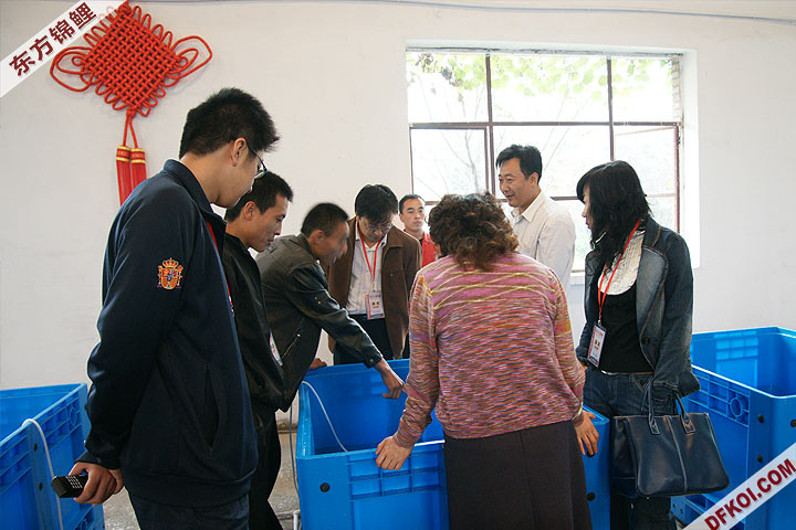 200810 ڶƷᱨ