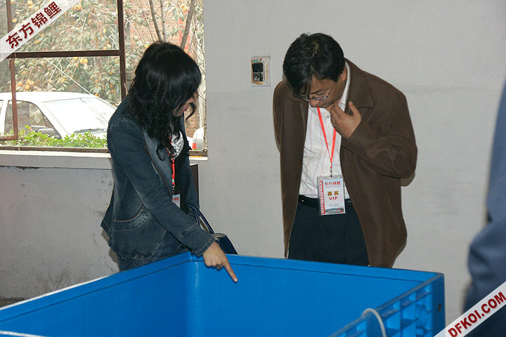 200810 ڶƷᱨ