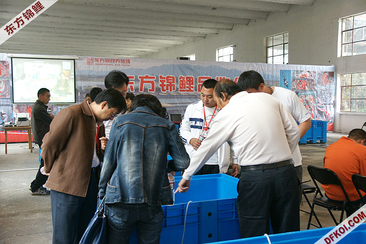 200810 ڶƷᱨ