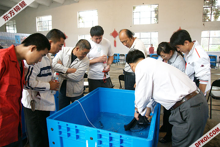 200810 ڶƷᱨ