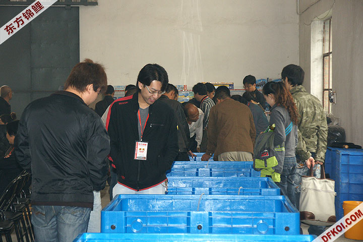 200810 ڶƷᱨ