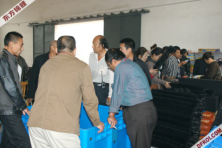 200810 ڶƷᱨ