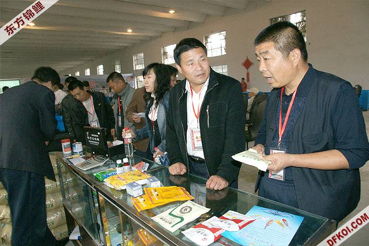 200810 ڶƷᱨ