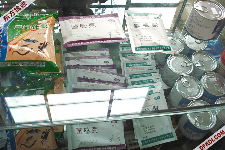200810 ڶƷᱨ