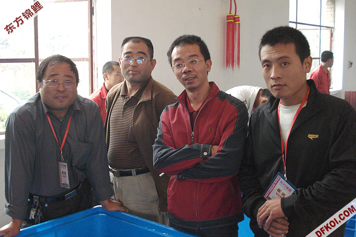 200810 ڶƷᱨ