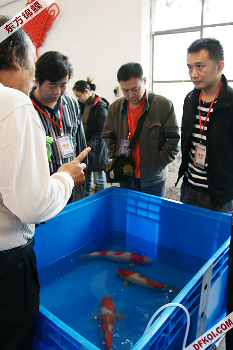 200810 ڶƷᱨ