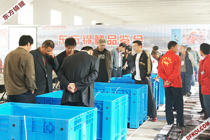 200810 ڶƷᱨ