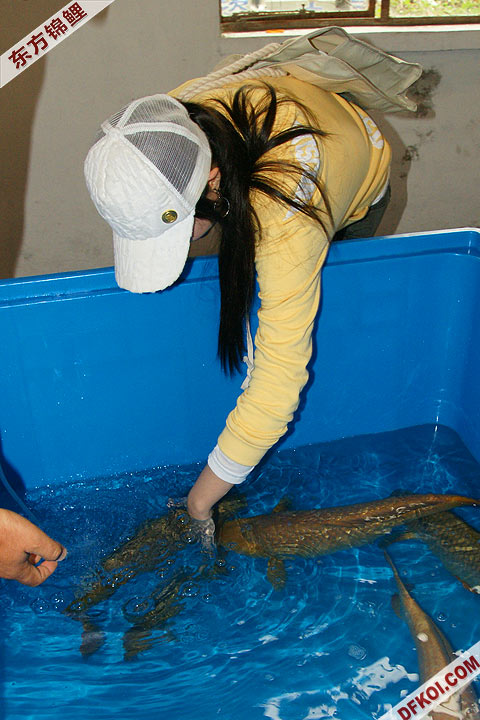 200810 ڶƷᱨ