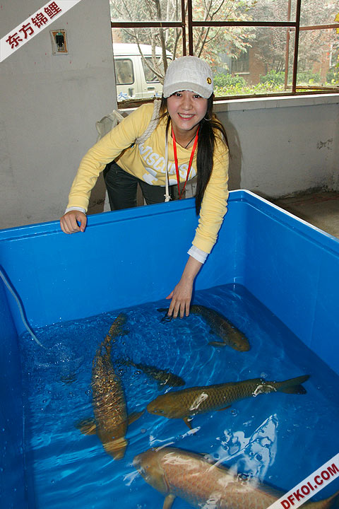 200810 ڶƷᱨ