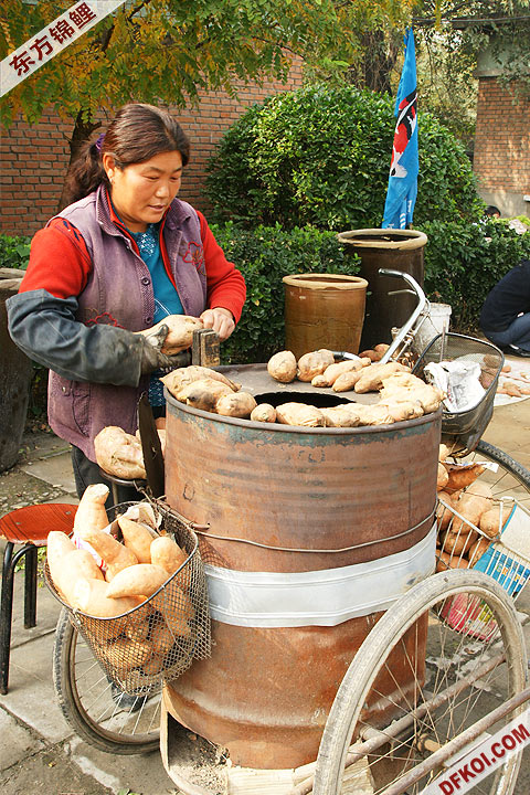 200810 ڶƷᱨ