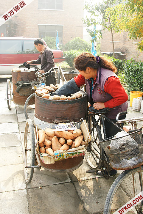 200810 ڶƷᱨ