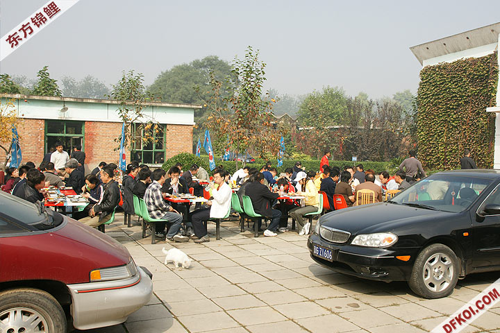 200810 ڶƷᱨ