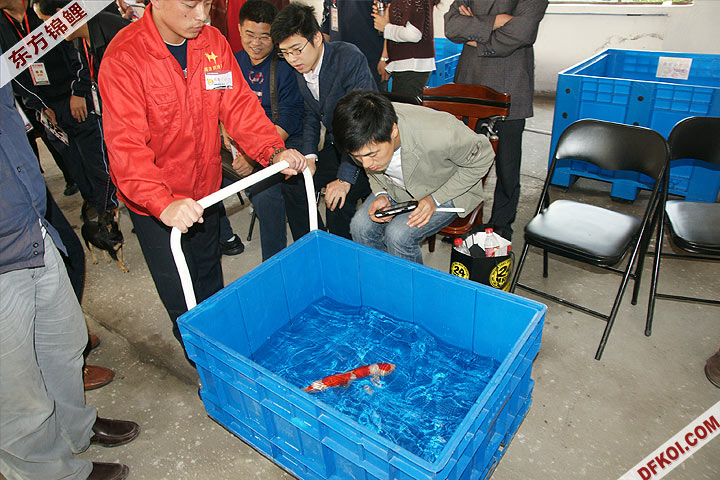 200810 ڶƷᱨ