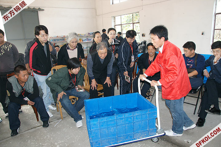 200810 ڶƷᱨ