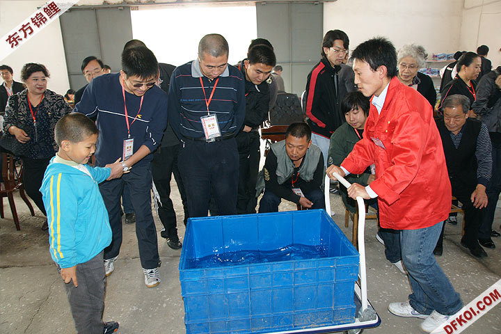 200810 ڶƷᱨ