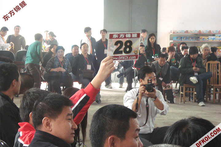 200810 ڶƷᱨ