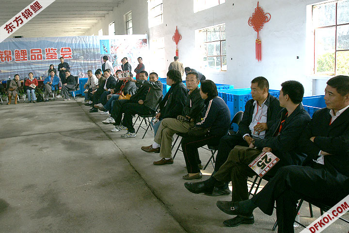 200810 ڶƷᱨ