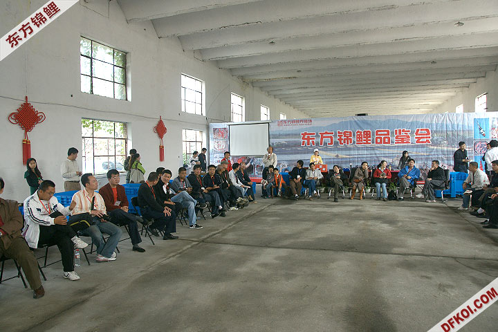 200810 ڶƷᱨ