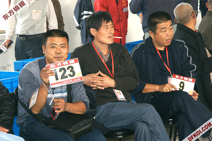 200810 ڶƷᱨ