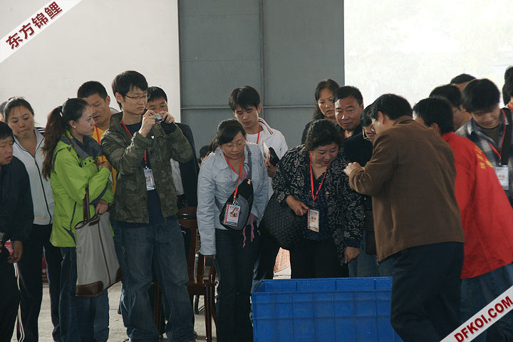 200810 ڶƷᱨ