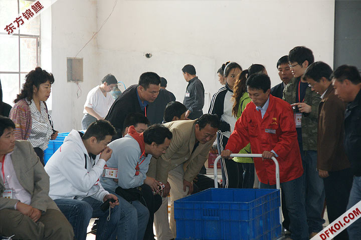 200810 ڶƷᱨ