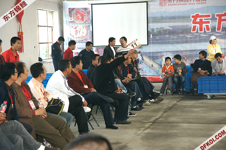 200810 ڶƷᱨ